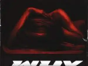 Lexisz – Why ft Ugoccie