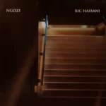 Ric Hassani – Ngozi