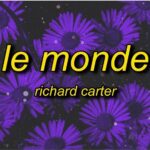 Richard Carter – Le Monde (Tiktok)