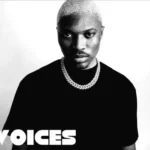 Diamond Jimma – Voices