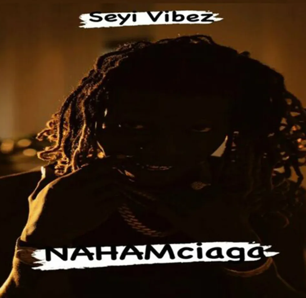 Seyi Vibez - Marry Your Daughter