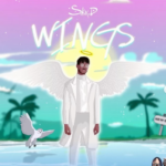 Sky D - Wings