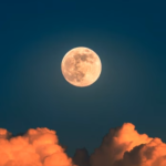 Putra Dirga - Tum Mere (Remastered 2024)