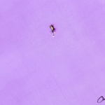 Omah Lay – Reason Omah Lay – Reason