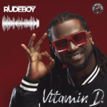 Rudeboy - Vitamin D