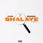 M’kido – Shalaye (Remix) ft. Reminisce M'kido – Shalaye (Remix) ft. Reminisce
