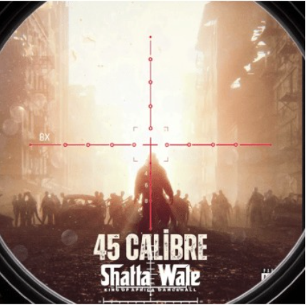 Shatta Wale – 45 Calibre