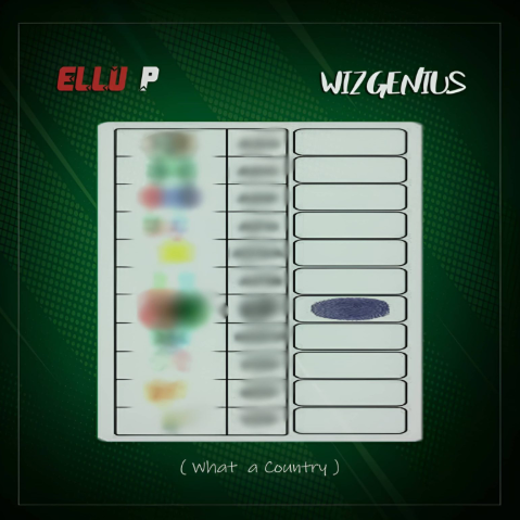 WizGenius - Ellu P Ft. Green Chamber Choir