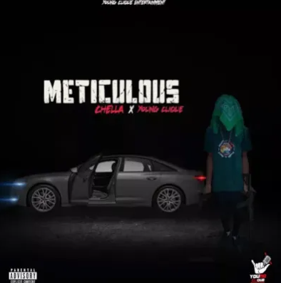 Chella - Meticulous Ft. Young Clique