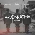 Priesst - Akonuche (Remix) Ft. Shoday & Victony