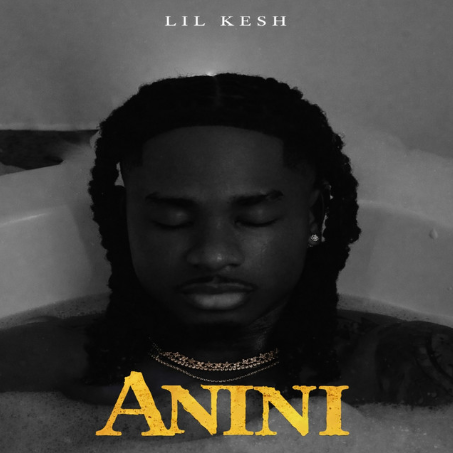 Lil Kesh - Anini (Thief)