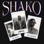 Dai Verse – Shako Ft. Oberz & Ric Hassani Dai Verse - Shako Ft. Oberz & Ric Hassani